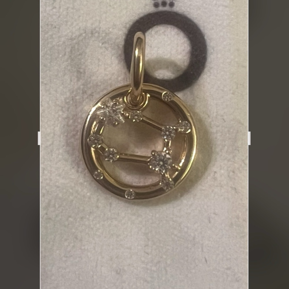 Pandora Gemini Zodiac Dangle Charm
14k gold plating - Picture 4 of 5